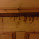 Illustration for article titled Why have my friends doors started bleeding?